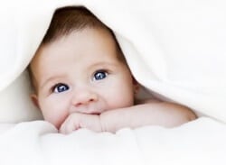 Obstetrics - Intro
